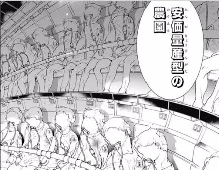 安価量産型の農園